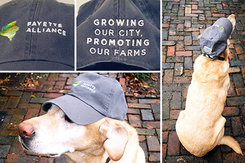 Fayette Alliance Hat