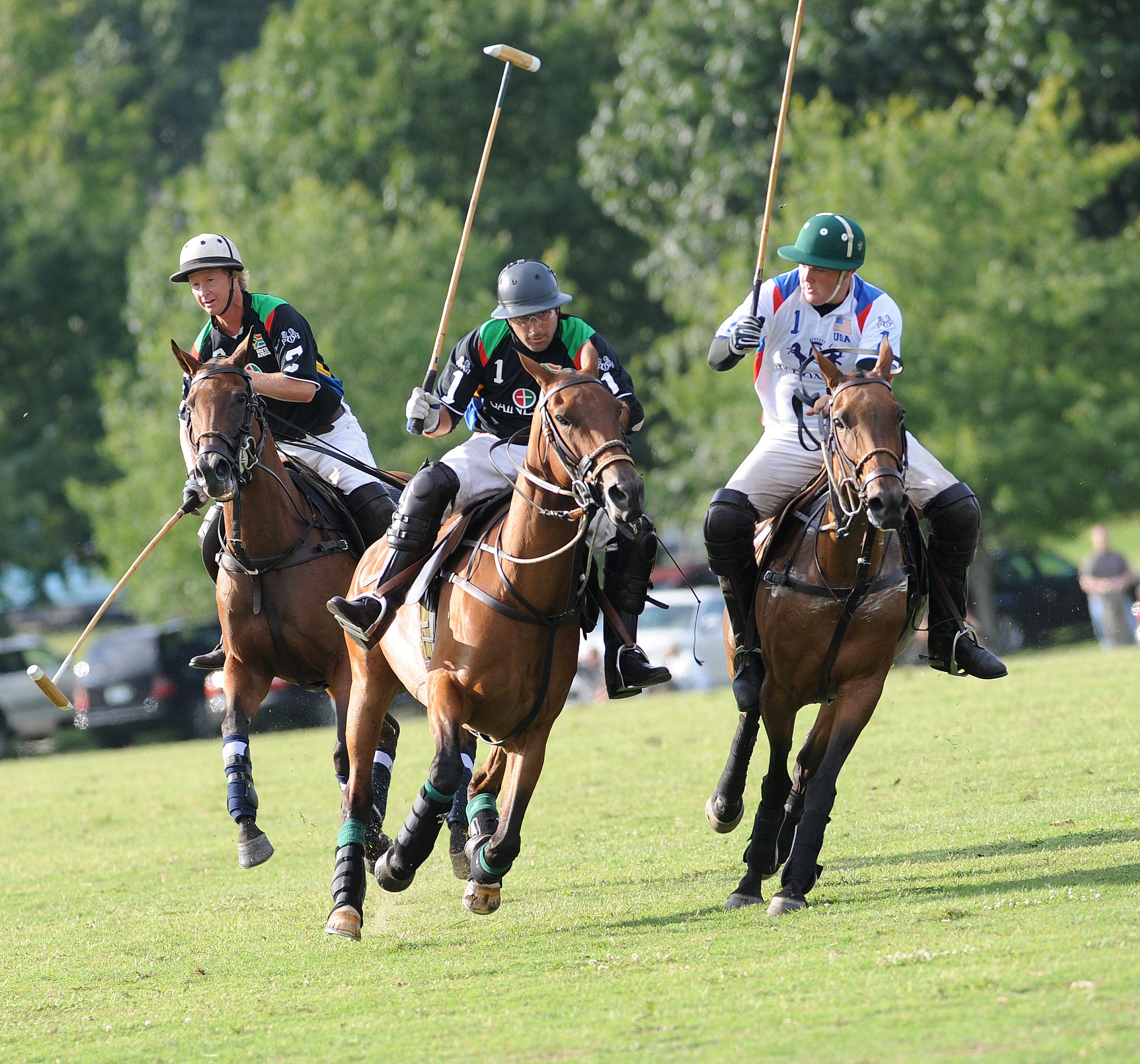 Polo2009Horses Polo2009Horses