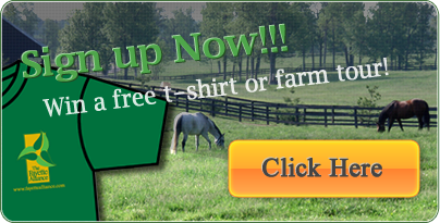 register-and-win register-and-win