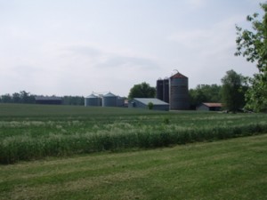 Lexington-Fayette County Farm