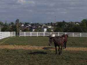 Farmland and Sprawl dfa