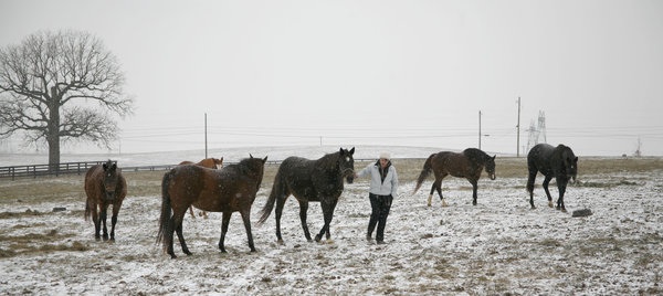Suzi Shoemaker selected=