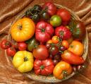 Heirloom Tomatoes