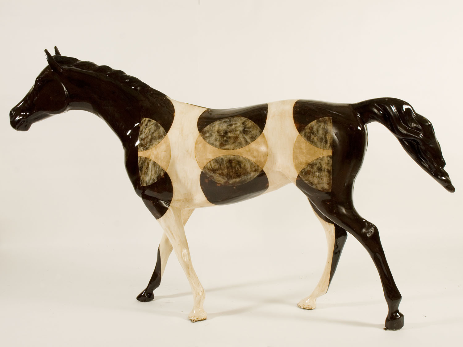 Brown and White Appaloosa by Marc Logsdon | Horse Mania 2010
