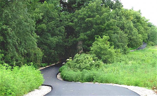 This is a newly paved section of Town Branch Trail in the McConnell Trace neighborhood. The trail runs along the old Lexington and Ohio rail line, 1st in the western frontier, chartered in 1830. It has one of the largest stands of native Kentucky Cane in Fayette County. | Photo by Van Meter Petit
