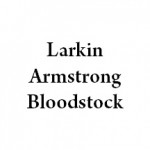 Larkin Armstrong Bloodstock Larkin Armstrong Bloodstock