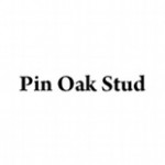 Pin Oak Stud Pin Oak Stud
