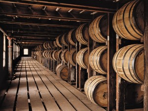 WildTurkey
