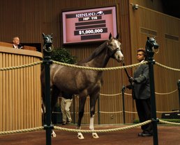 Keeneland Sales Kentucky.com