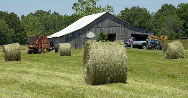 farm receipts FI