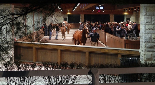 Keeneland Horse Sale