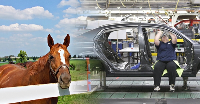 Factories vs Farms FI