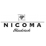Nicoma-Bloodstock
