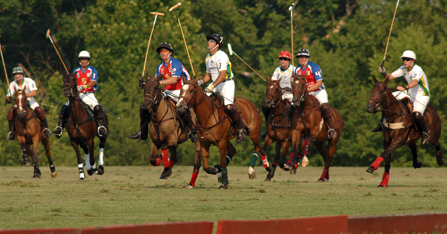 5th Annual BGIC
