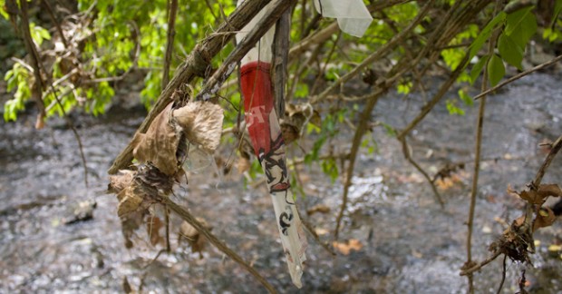 TownBranchStream_WaterQuality