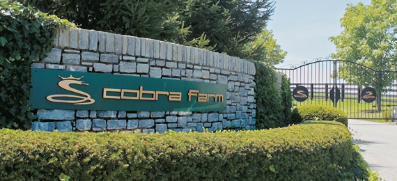 Cobra Farm